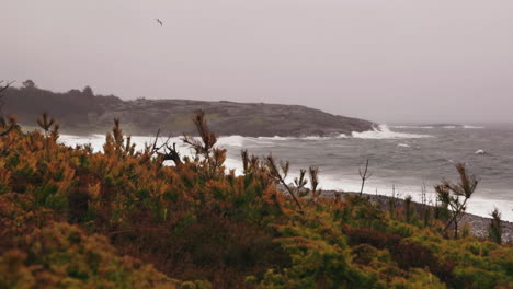 stormy coastal area of arendal in norway by the skagerak sea - wide shot