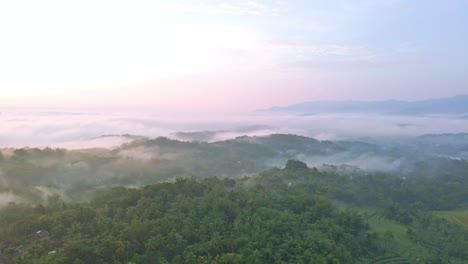 Warmer-Sonnenschein,-Nebel-Und-Waldlandschaft-Indonesiens,-Luftaufnahme