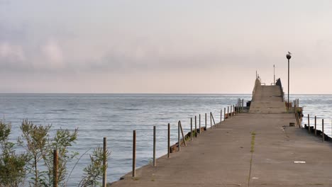 lake erie worn dock with birds early morning