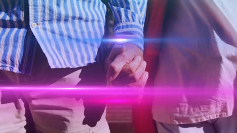 animación de la luz que se mueve sobre la sección media de la pareja mayor caminando en el parque tomados de la mano