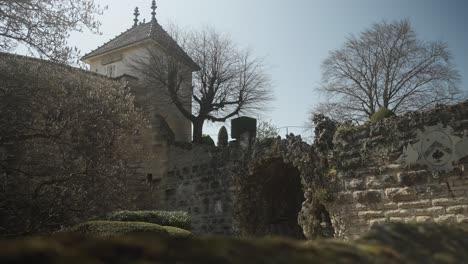 Beautiful-courtyard-in-castle-like-back-yard