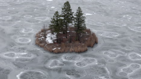 Winterwunderland:-Der-Kristallisierte-McQueen-See-Umarmt-Eine-Einsame-Insel