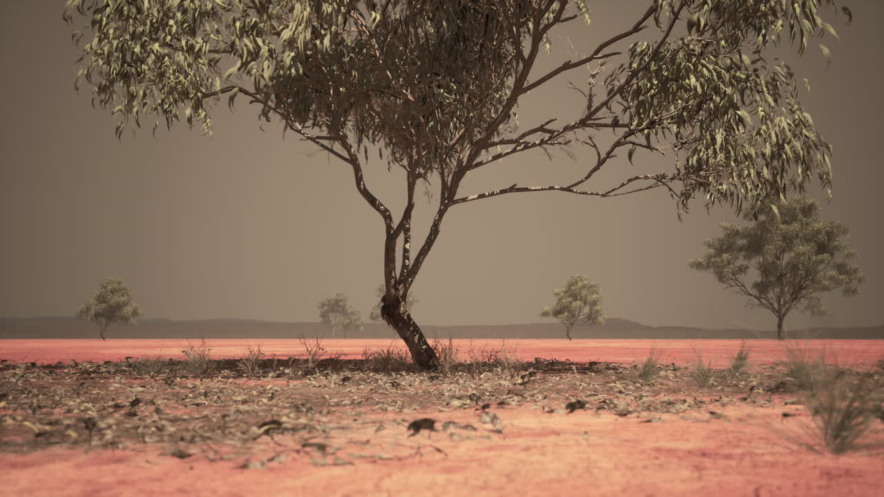 sabana africana seca con árboles