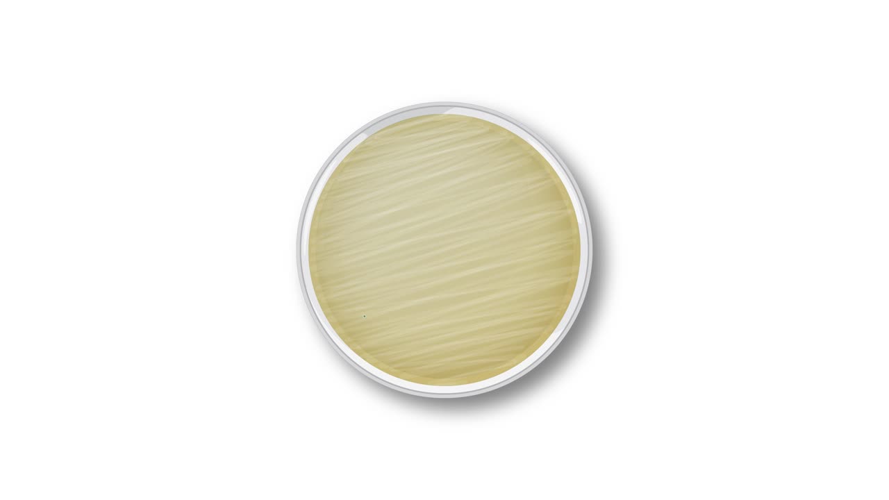 Animation illustrating the development of penicillin colonies in a petri dish over time, highlighting bacterial growth patterns
