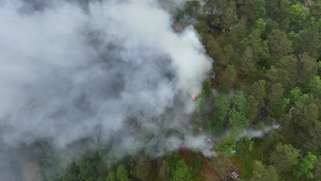 espesa nube de humo de un incendio forestal que arde en un bosque remoto