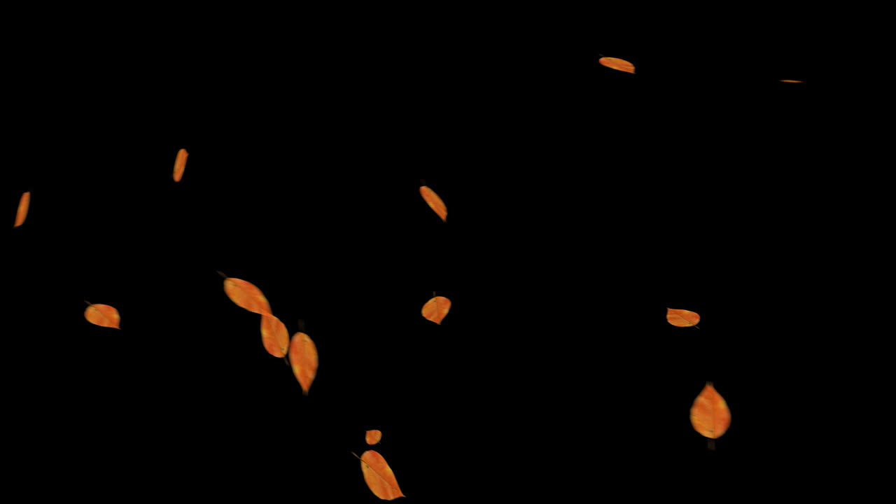 가을 잎이 떨어지는 것