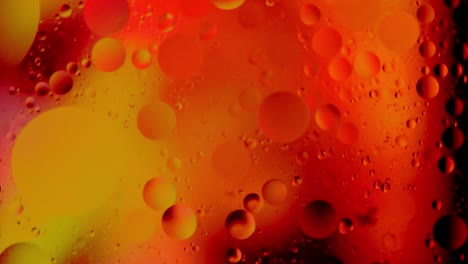 oil bubbles floating in water on colorful background, close-up, macro, background, template