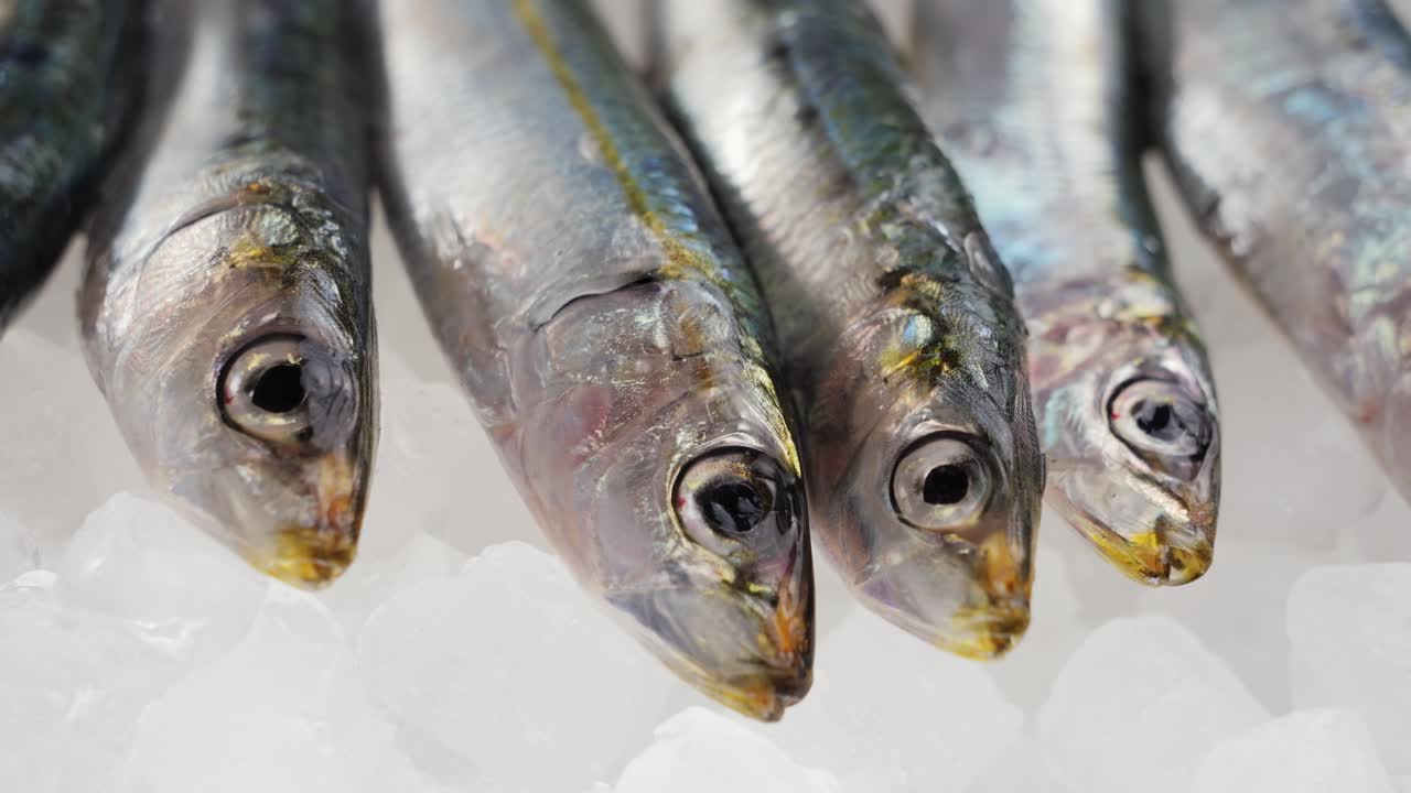 anchoas frescas en hielo