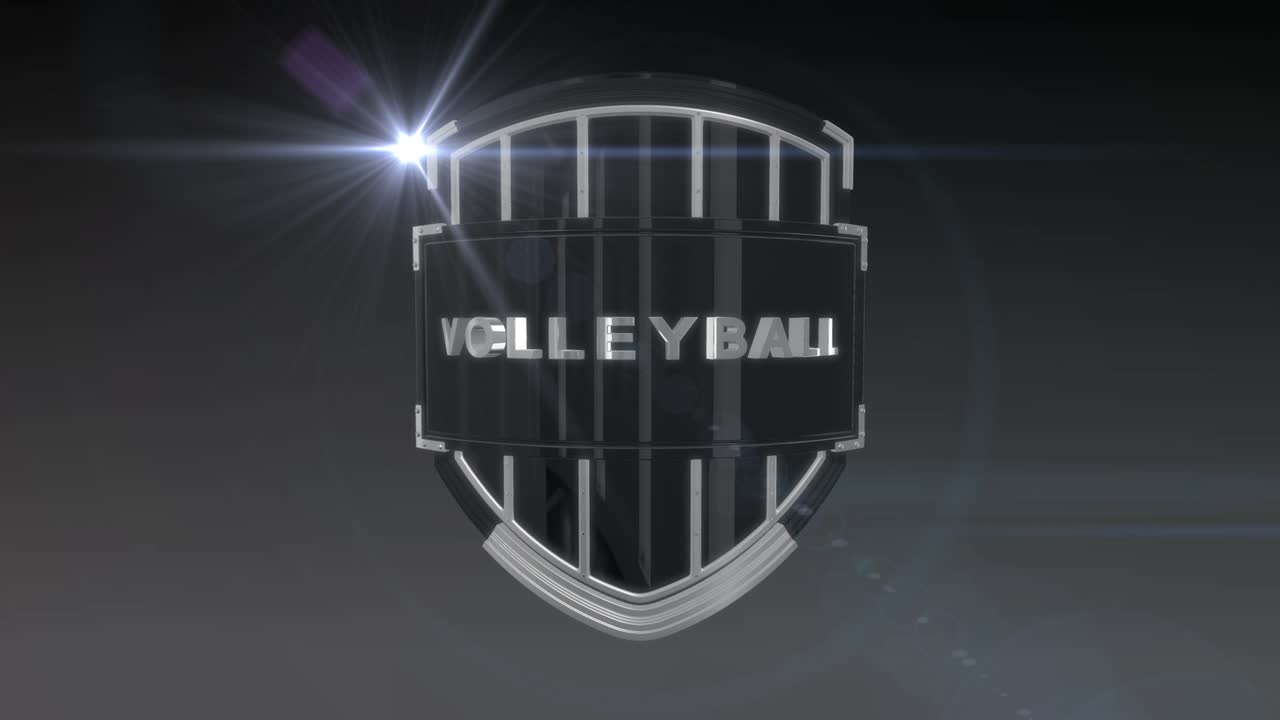 pelota de voleibol - cromo