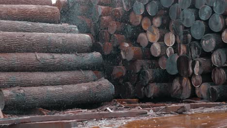 lots of logs. logging of wooden logs. the cut down trees lie in a heap. it's raining, drops falling on the wood. stack of wood logs. sawmill