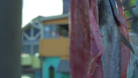 fishermen quickly filet giant red snapper in front of a crowd