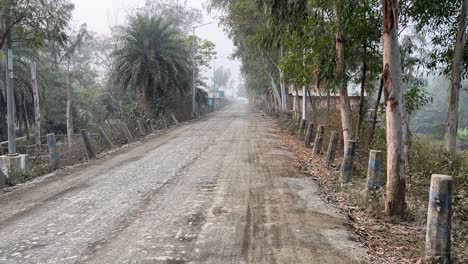 profile view of an empty pathway of a rural village surrounded by trees and shrubs in kolkata, india