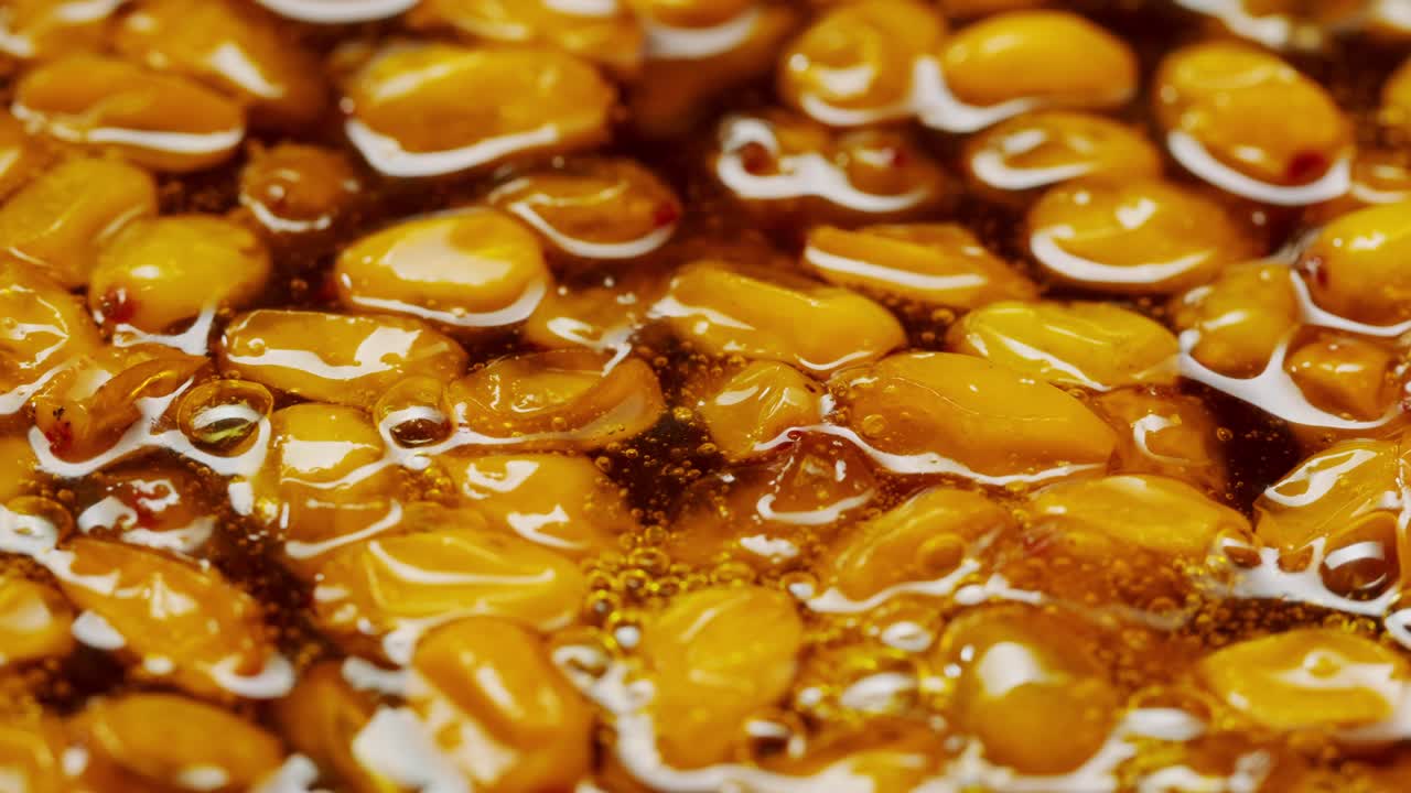 해바라기 건강한 베리 차 음료, 유리 항아리 및 잎을 가진 가지에 얼어붙은 익은 베리 어두운 나무 농촌 배경에  뷰, 피부, 심장, 혈관 및 면역 체계에 훌륭합니다.