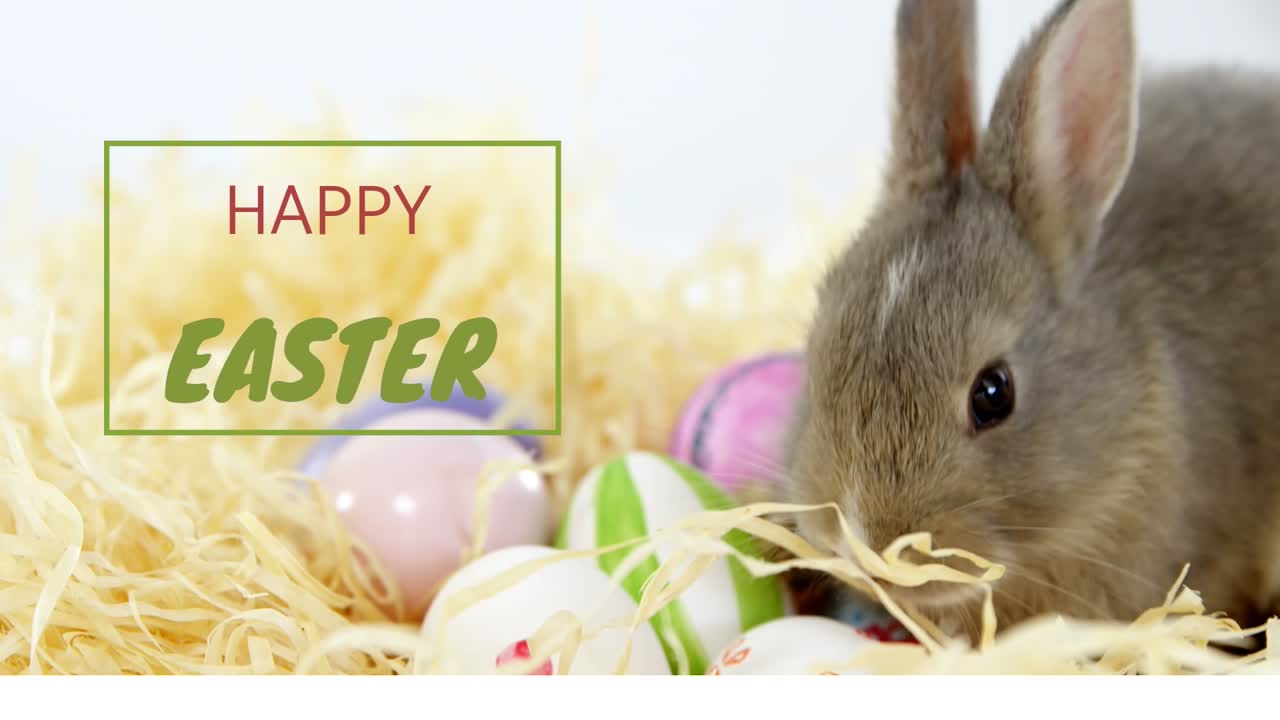 Piccolo coniglio grigio che annusa, mastica e spinge le uova, con la sovrapposizione della scritta 'EASTER' (Pasqua) che compare a fini di marketing.