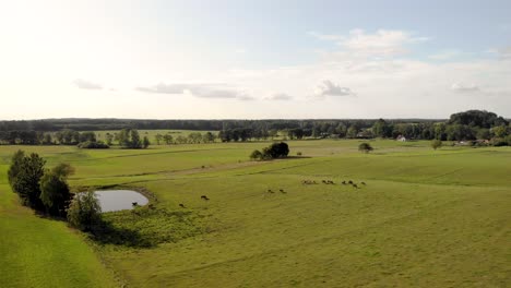 Vista-Aérea-Shot