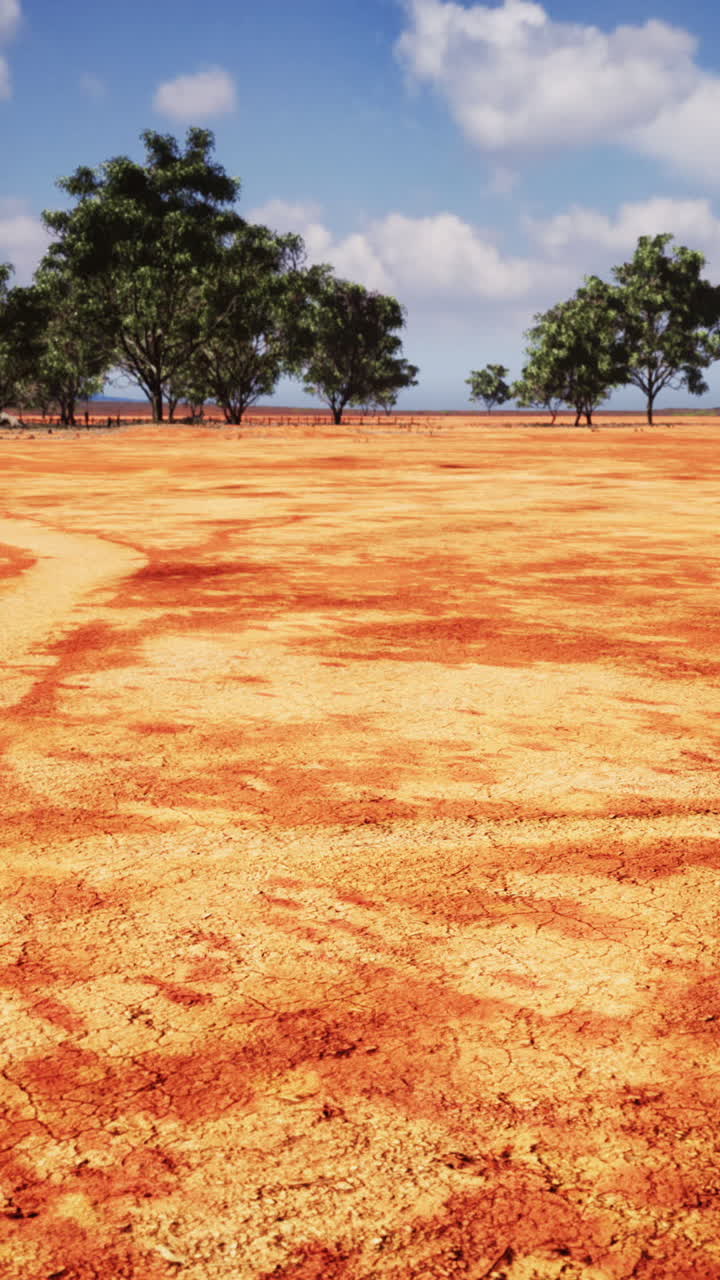 paisaje de tierra roja seca con árboles en la distancia