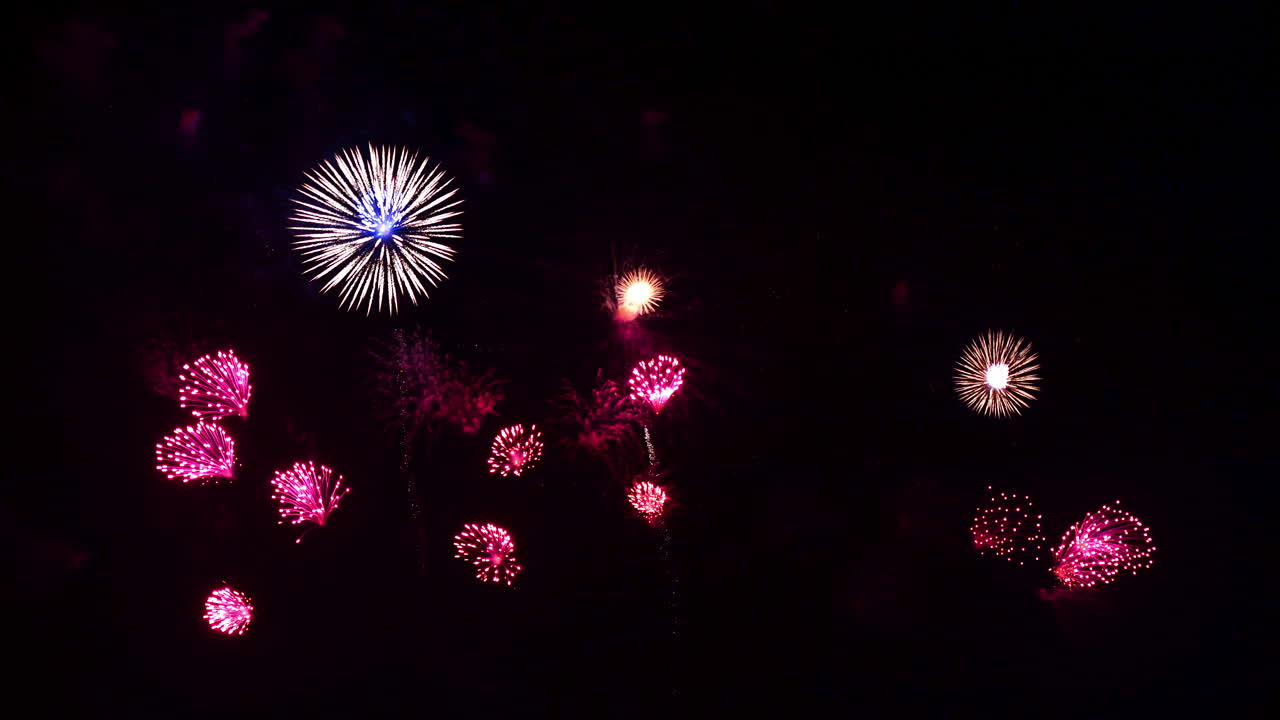 Colorful Firework display at night on sky background