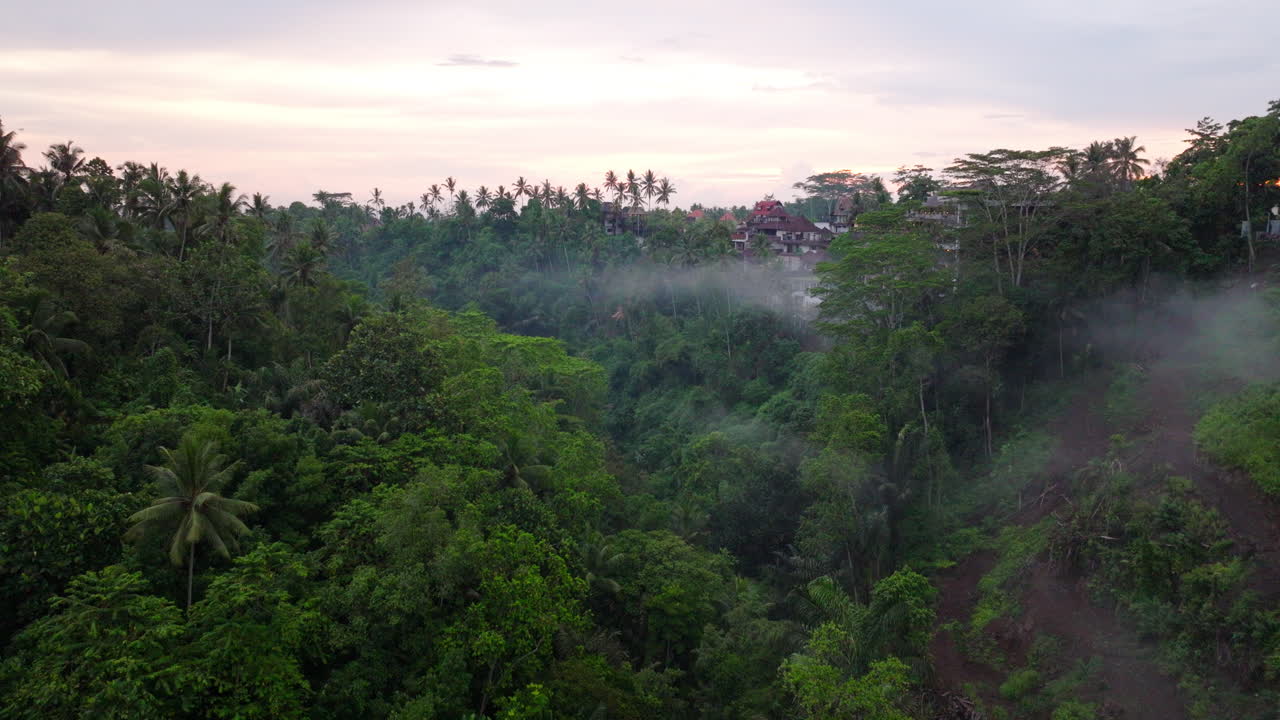 avance aéreo sobre el bosque tropical de ubud, bali en indonesia