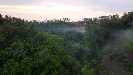 aerial forward over ubud rainforest, bali in indonesia