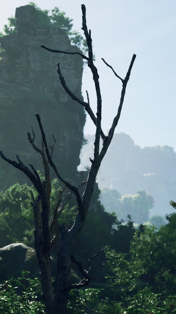 죽은 나무가 열대 정글의 고대 유적 앞에 서 있습니다.