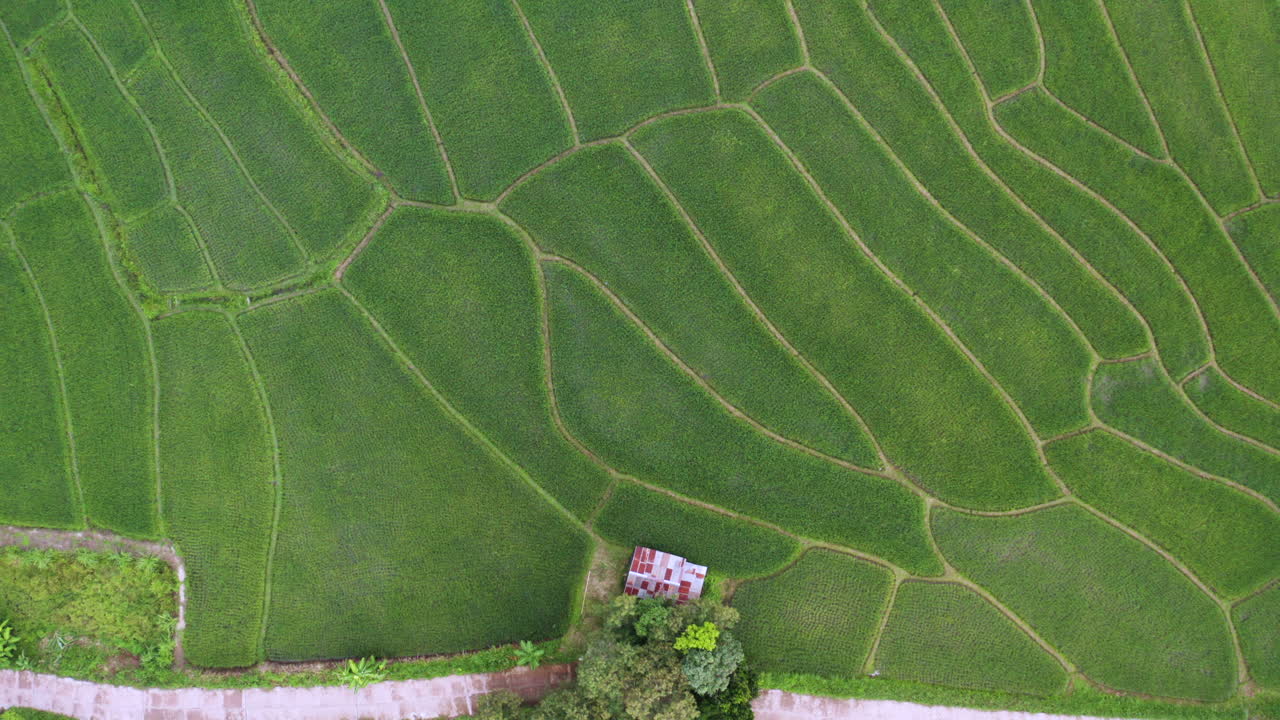 antena de plantación de terraza de arroz con pequeña casa de campo