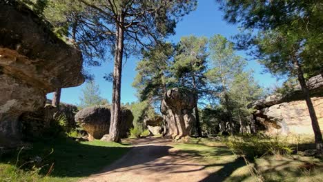 walk through forest with strangely shaped rocks