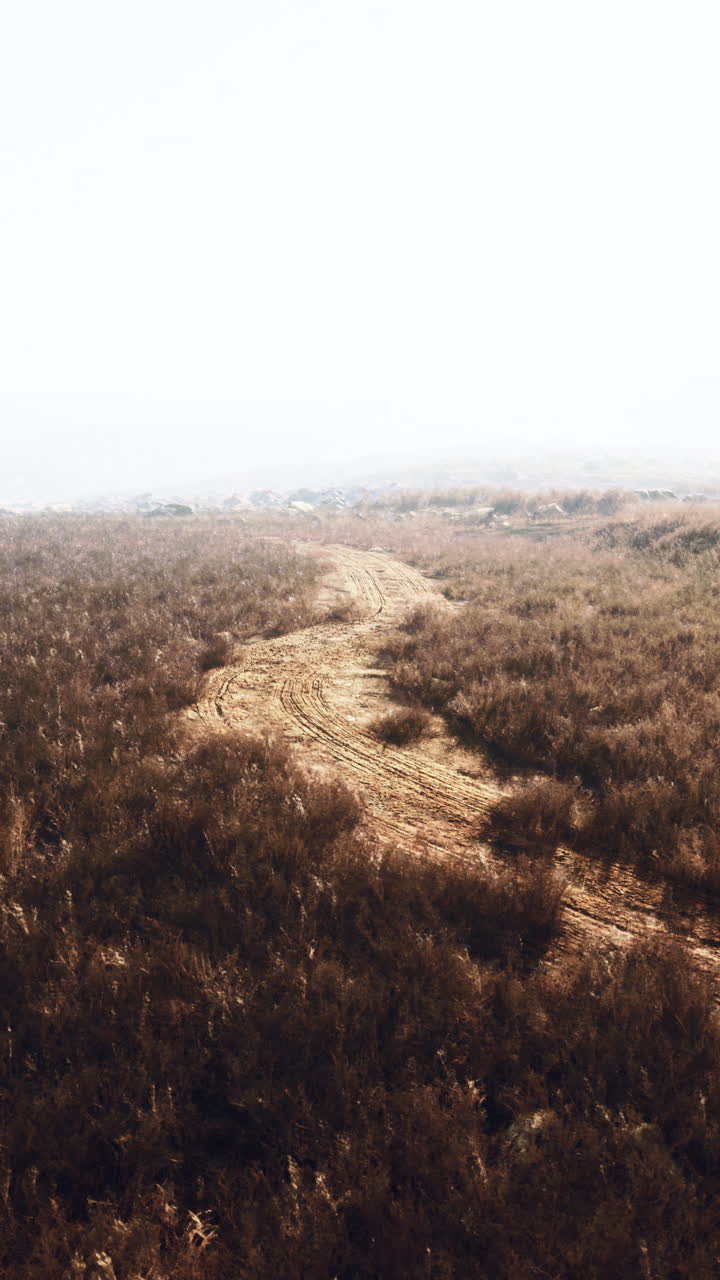 에 있는 안개가 가득한 길