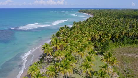 Beautiful-palm-trees-and-turquoise-blue-waters,-on-an-island-in-the-Caribbean