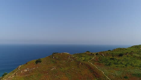 Acantilados-Y-Vegetación-A-Lo-Largo-De-La-Costa-Pedregosa