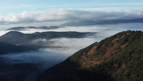 Misty-mountain-peaks-rising-above-clouds-at-sunrise,-with-pine-forests-on-slopes