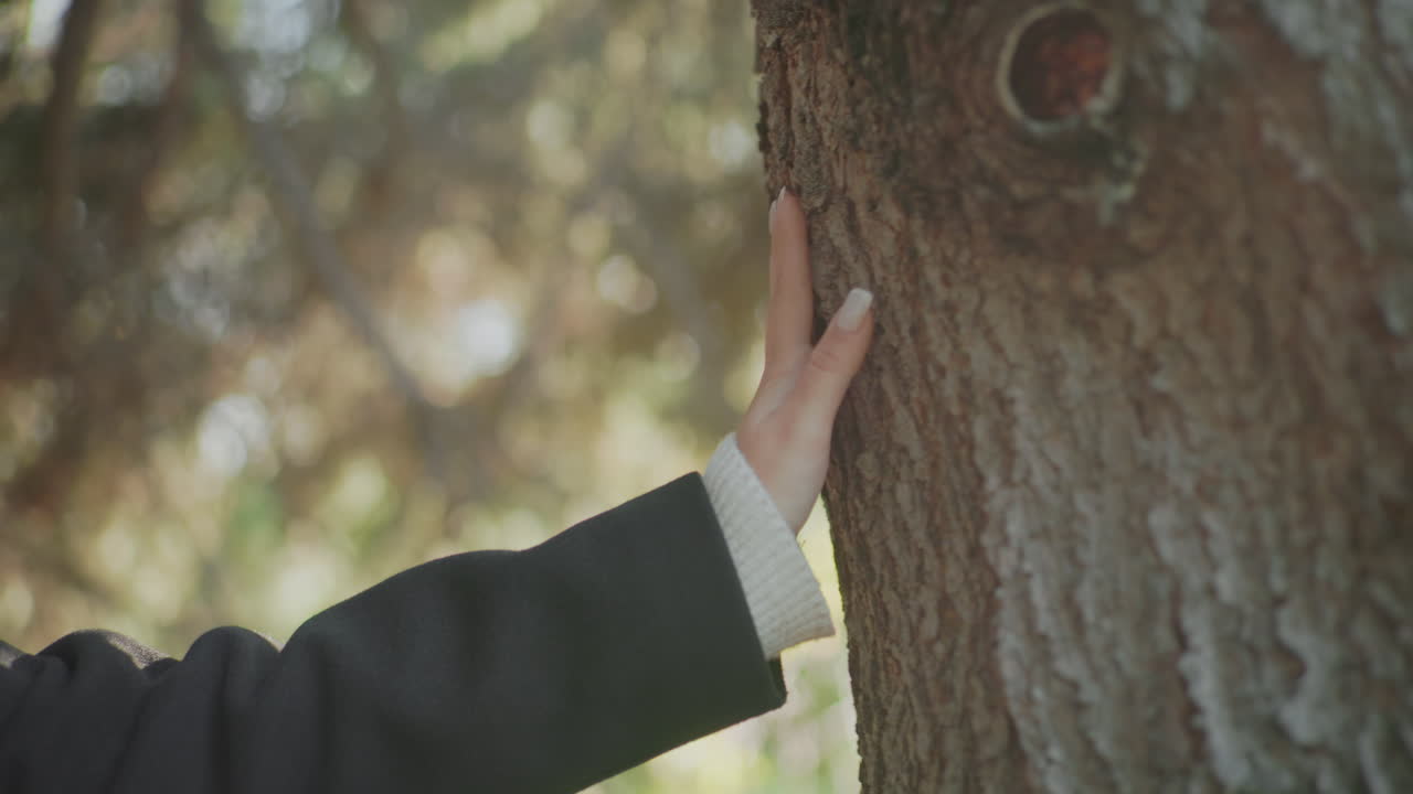 어두운 코트를 입은 여성의 손이 나뭇결을 부드럽게 쓸어넘기는 모습이에요. 느리고 신중한 손길, 자연과의 교감, 은은한 보케 숲의 빛, 고요한 가을의 순간, 감각적인 탐험, 친환경 웰빙 분위기가 느껴져요.