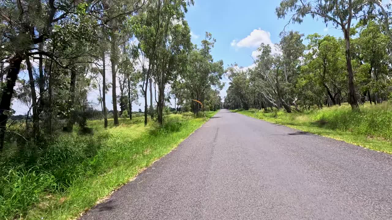울창하고 나무로 둘러싸인 오스트레일리아의 풍경을 가로질러 가는 도로 여행