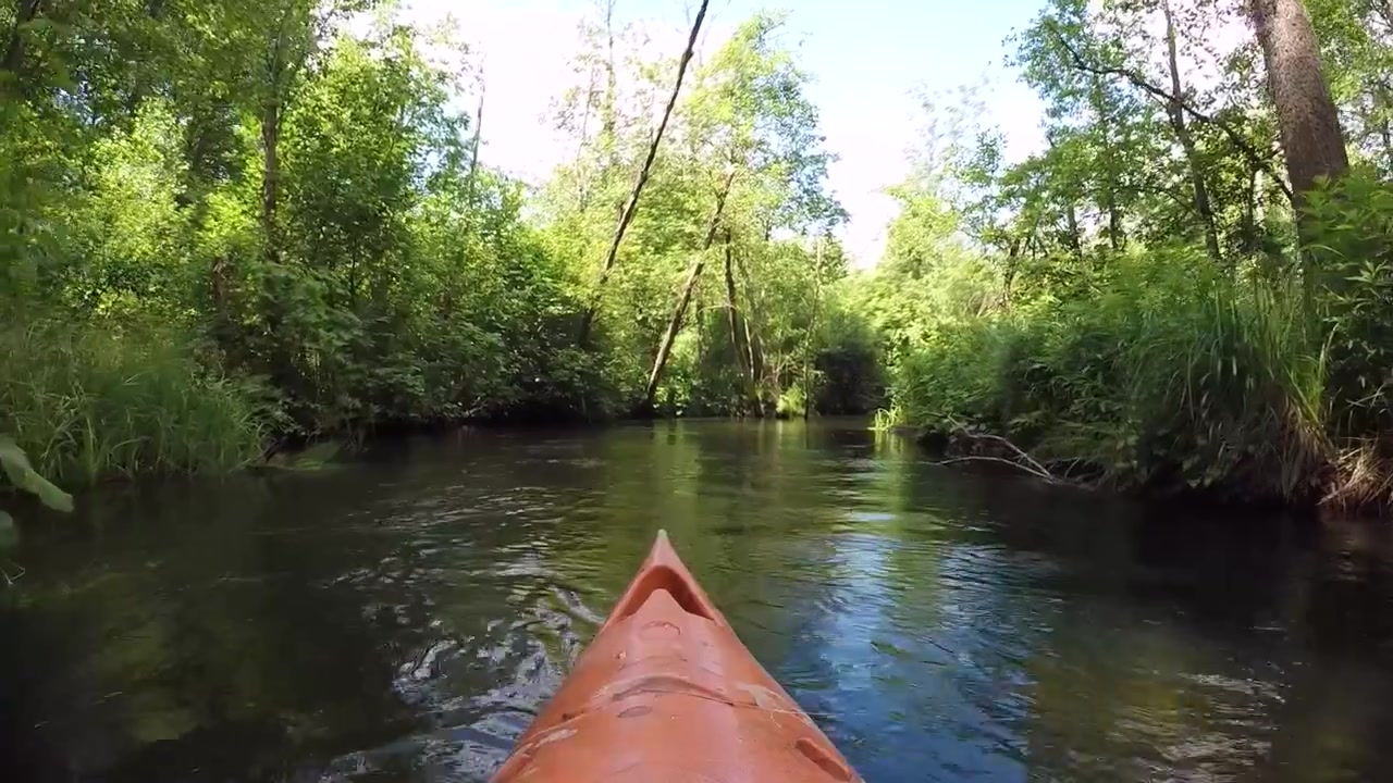 Fare kayak lungo il fiume Verknes in Lituania offre una fuga tranquilla, con la luce del sole che si riflette sulla superficie dell'acqua, creando una scena serena e pittoresca