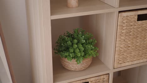 wooden shelving with plants and baskets