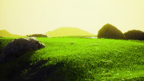 lush grassy landscape under bright yellow sky with distant hills in view