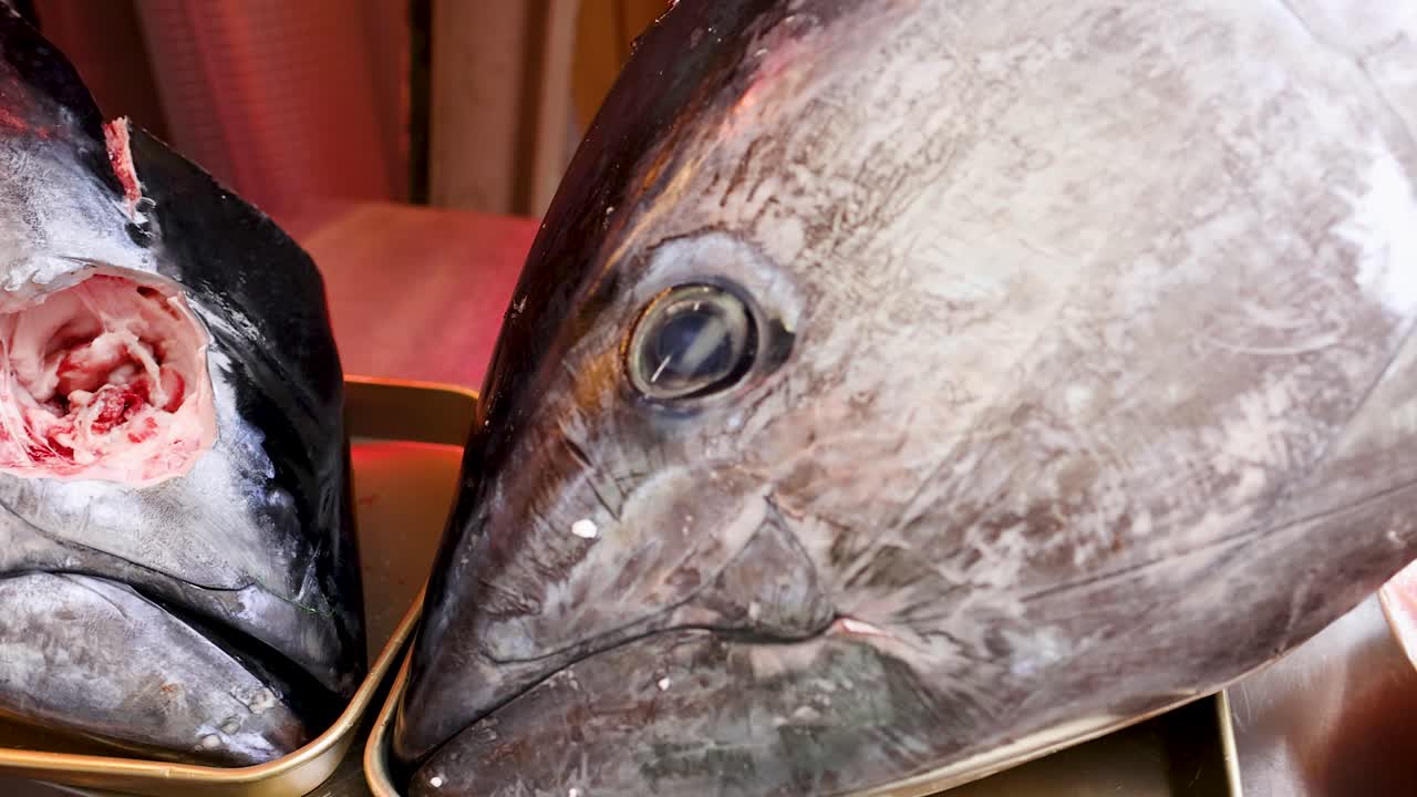 Panoramica ravvicinata di grandi teste di tonno rosso crudo esposte in un mercato del pesce giapponese.