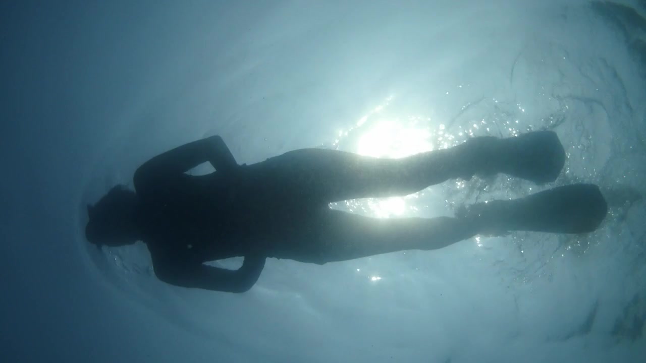 A silhouette of a female diver snorkeling in the ocean on a sunny summer day.