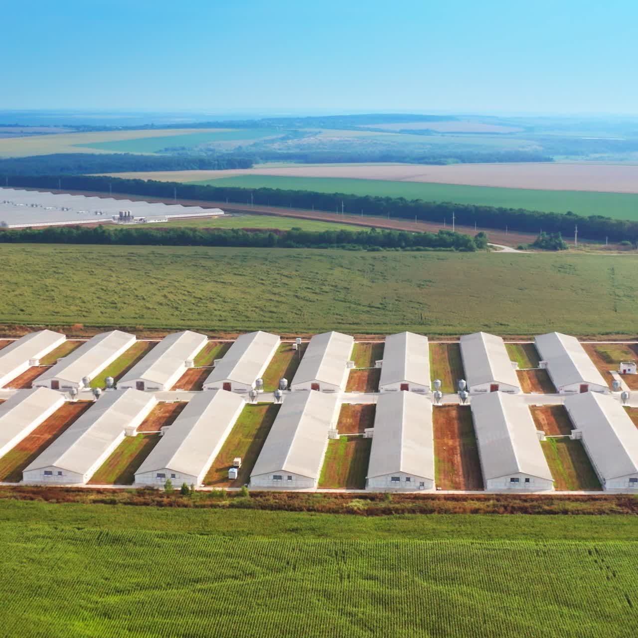 Long warehouses at the farm complex location. Farmhouses in the vast plantations. Another farm territory at the backdrop