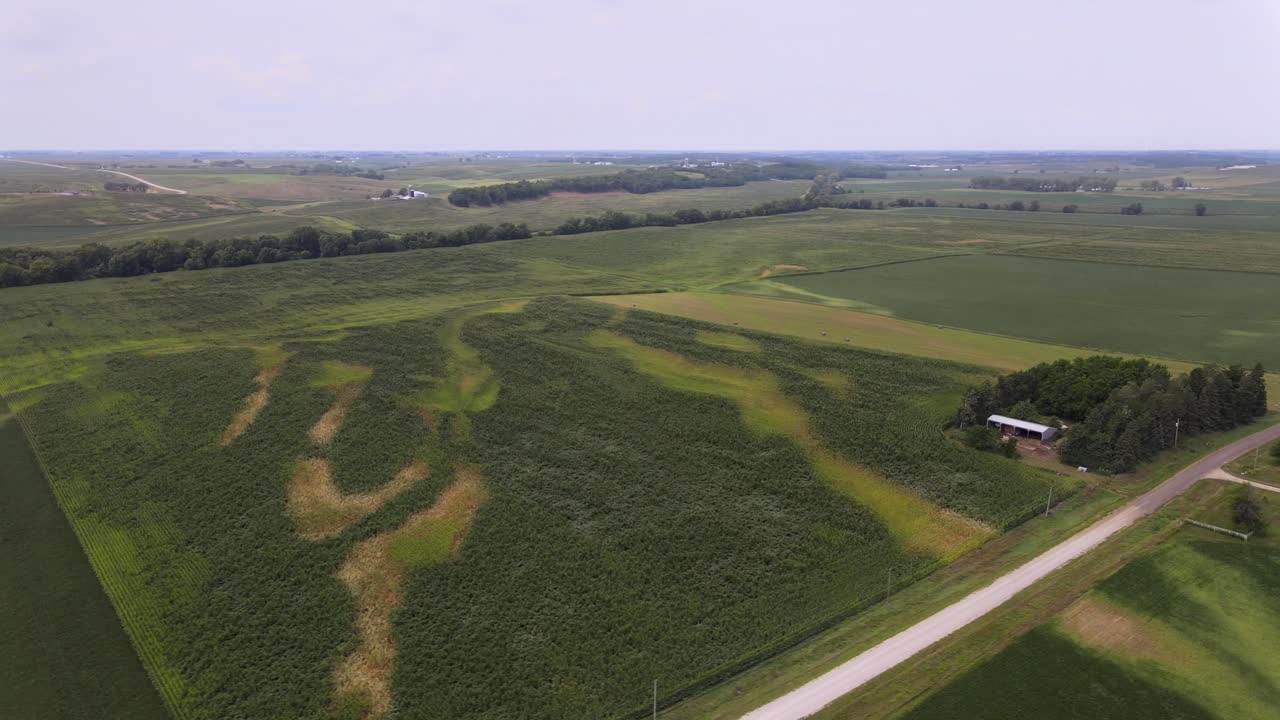 Aerial Drone Video Wind Damage To Rural, Agrarian Agricultural Crops And Farmland In The Midwest Heartland Of Iowa