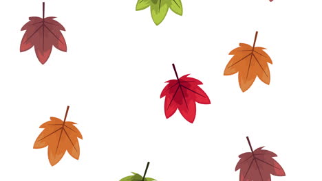 las hojas de la temporada de otoño animación de arce