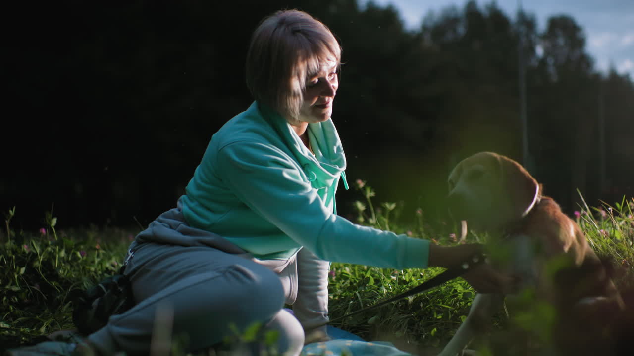 Pet owner gently pets loyal dog sitting together on lush green grass during peaceful evening in park surrounded by wildflowers creating heartwarming moment of affection, relaxation, and trust