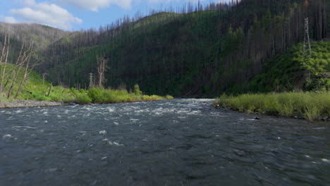 estacada, oregon, river and birds