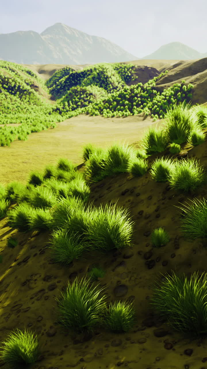 Vibrant green hills under a bright sky with distant mountains in warm sunlight