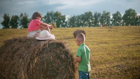 little boy scratching head while pulling hay bale as sister sits on top holding flowers in vast farm field, sunlight casts warm glow over countryside landscape with scattered hay