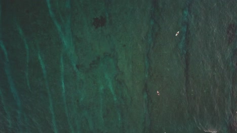 top view of surfing at pantai seger in kuta, lombok