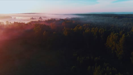 Atemberaubender-Blick-Auf-Einen-Nebligen-Wald-Bei-Sonnenaufgang,-Gefüllt-Mit-Verschiedenen-Farben