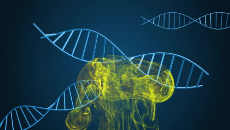 dna strands and brain animation, scientific data processing