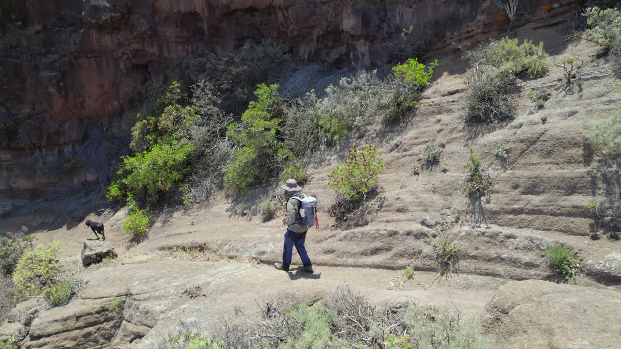 Mountain hiking path in Gran Canaria revealing tourist walking with loyal dog companion, capturing scenic landscape and active outdoor adventure under bright summer sunlight