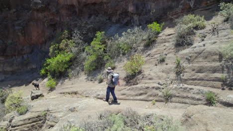 mountain hiking path in gran canaria revealing tourist walking with loyal dog companion, capturing scenic landscape and active outdoor adventure under bright summer sunlight
