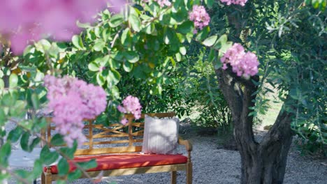 a pretty wooden bench in a garden surrounded by laurel